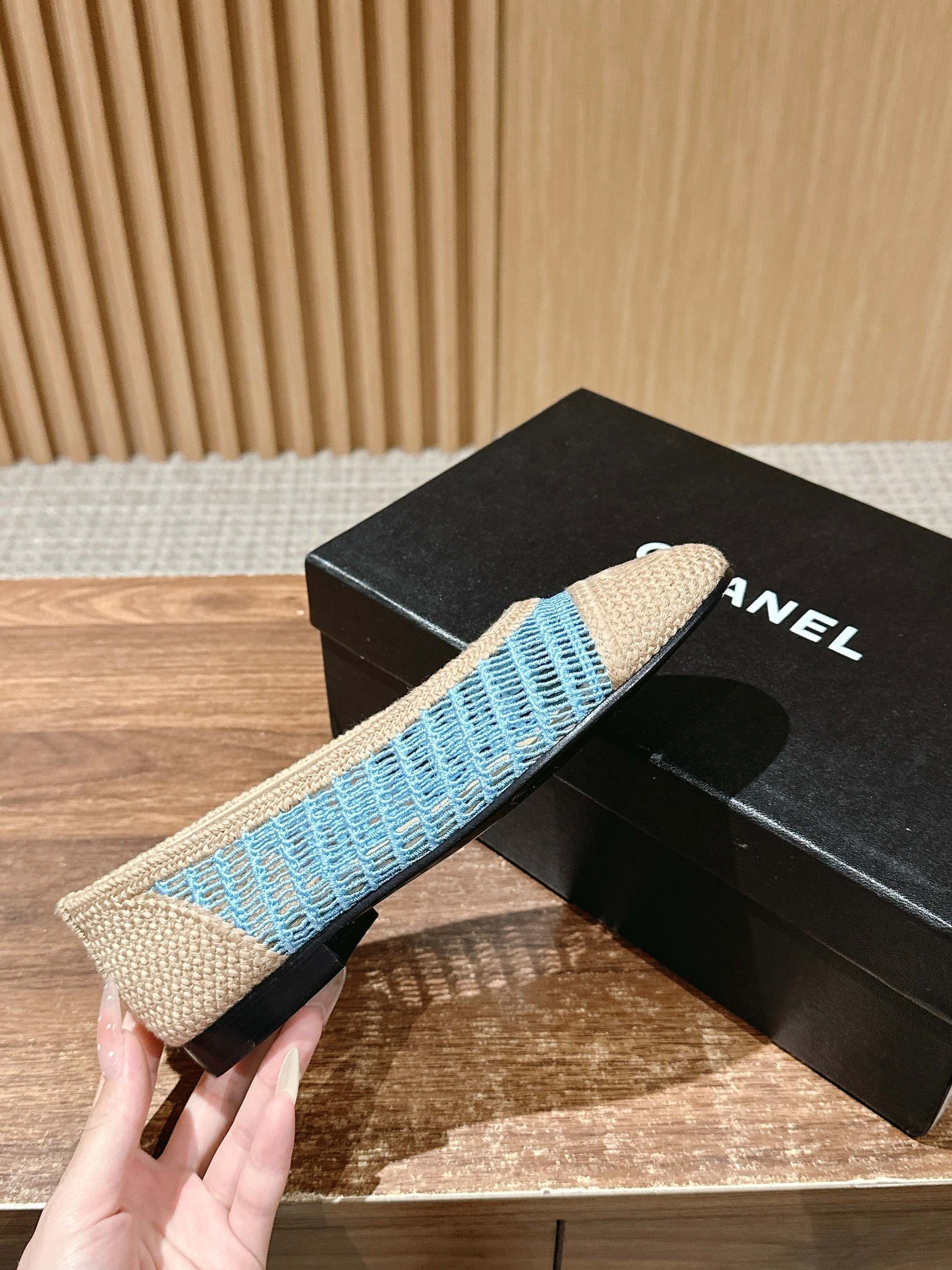 Chanel Classic New Mesh Ballet Flats 01