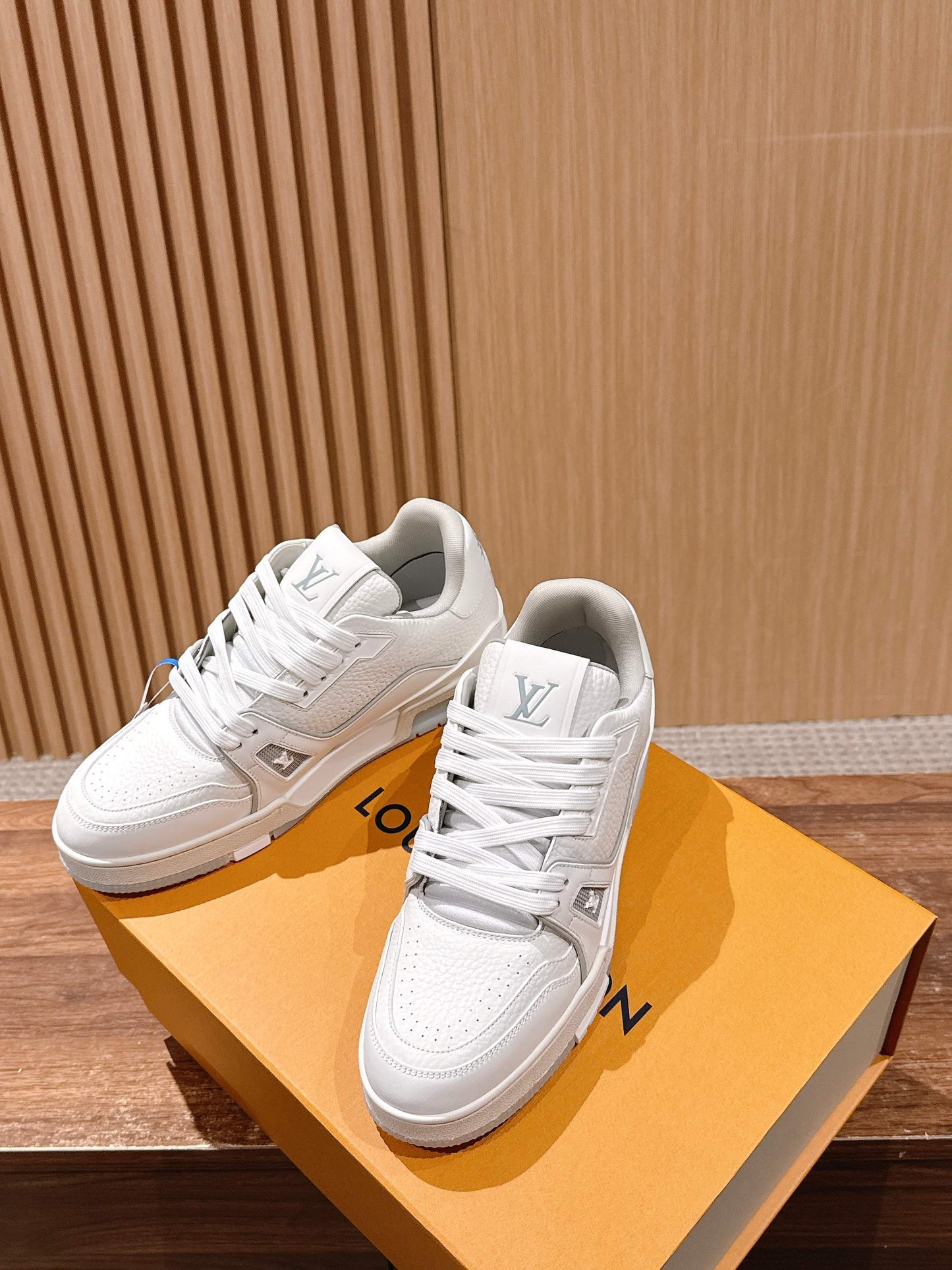 LV Trainer Series 24