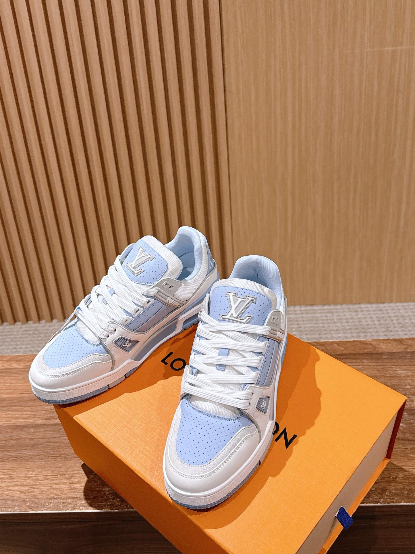 LV Trainer Series 05