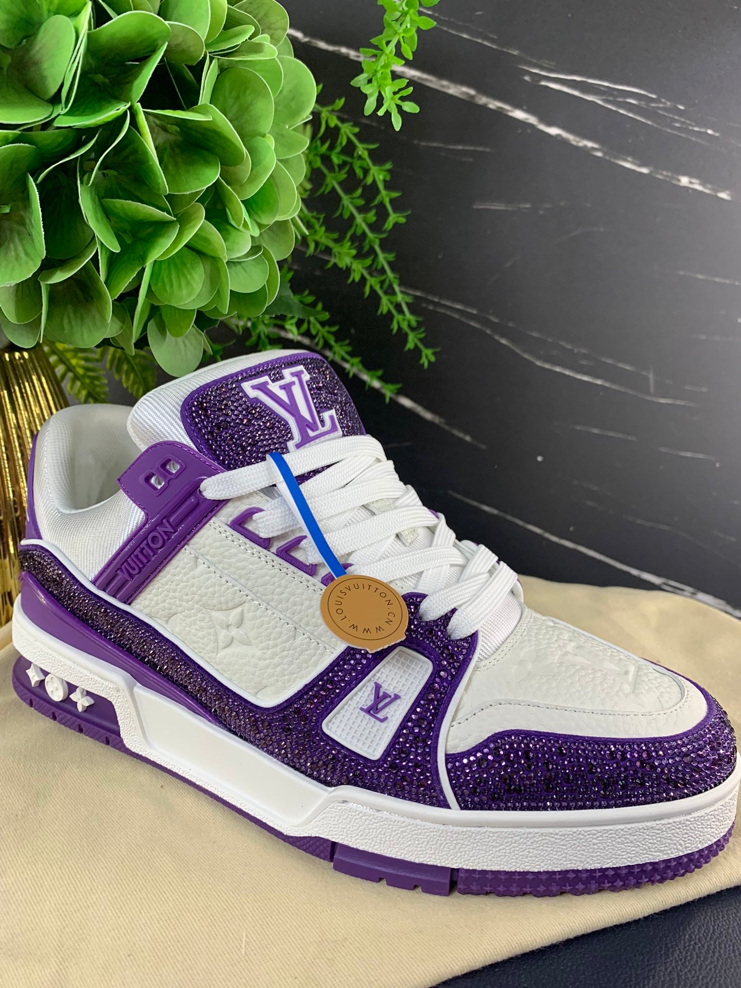 LV Trainer Series 55