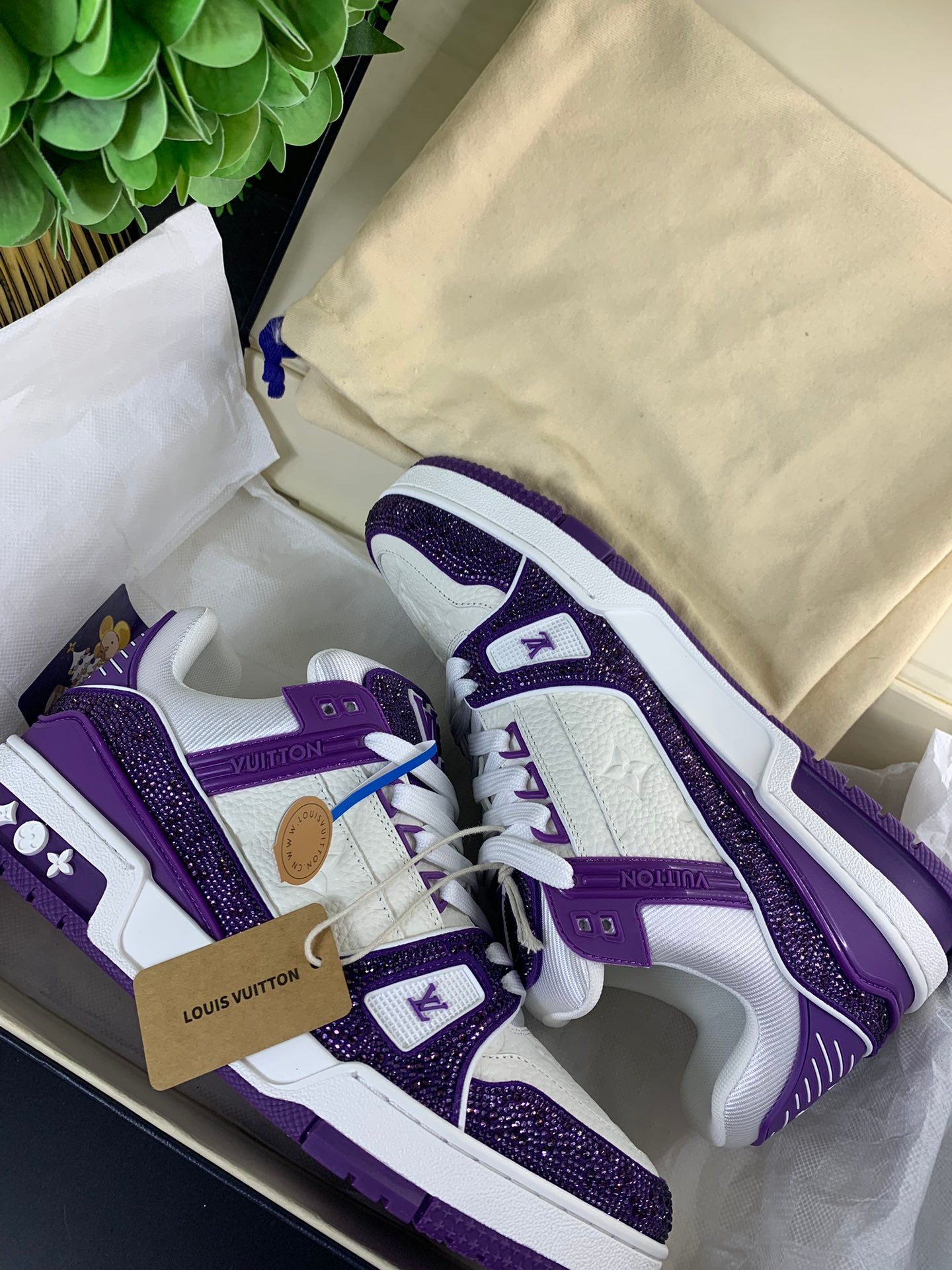 LV Trainer Series 55