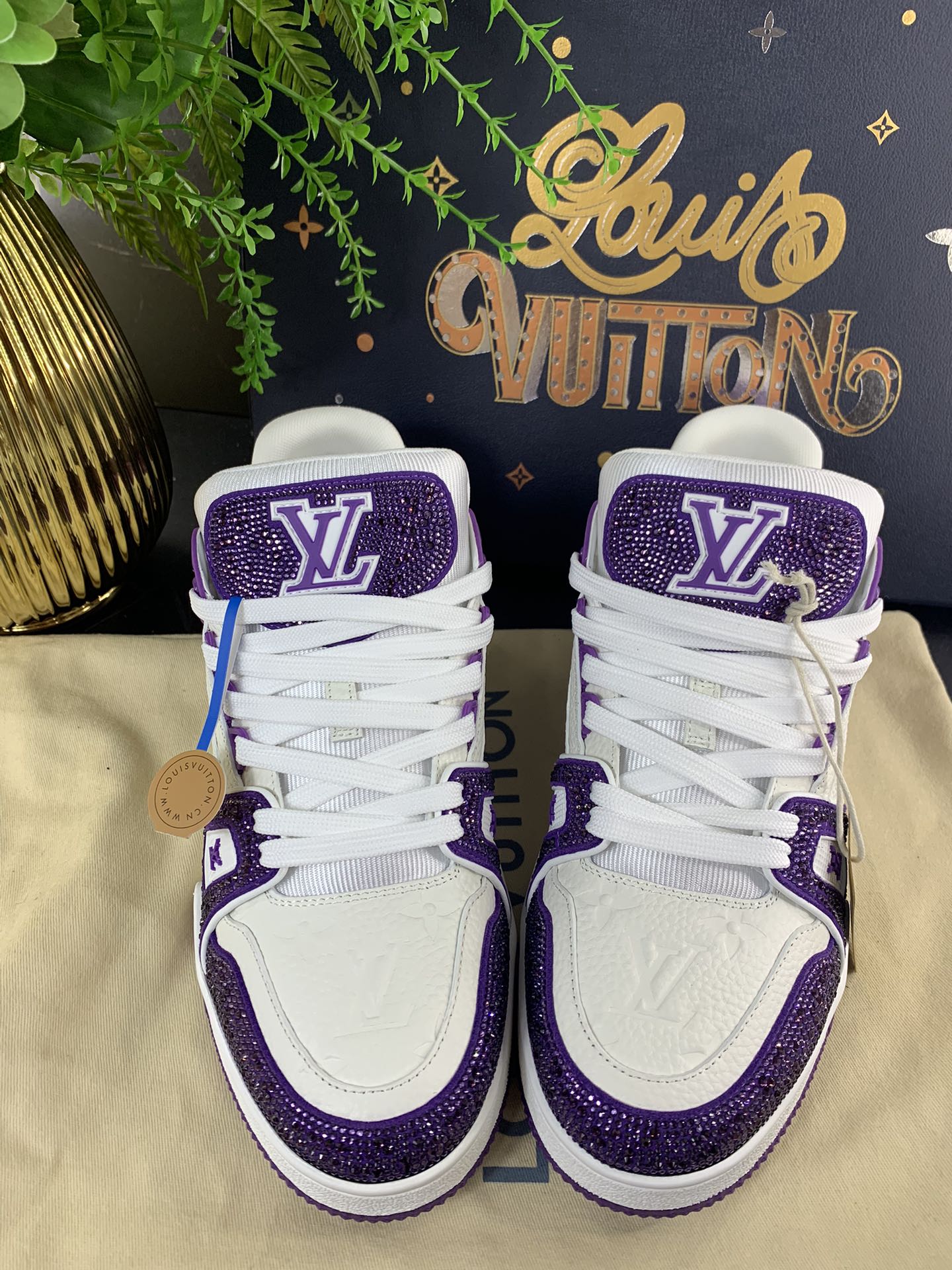 LV Trainer Series 55