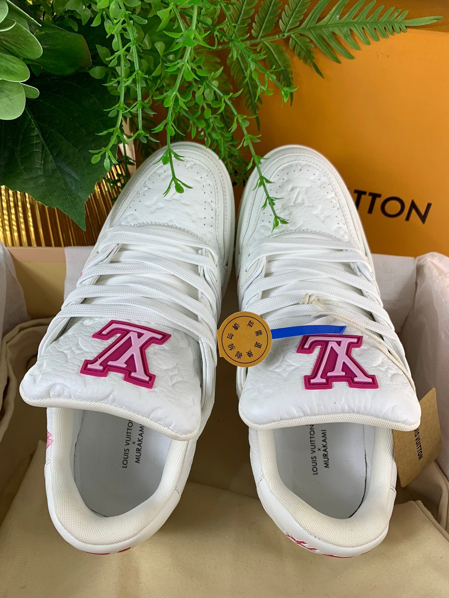 LV Trainer Series 60