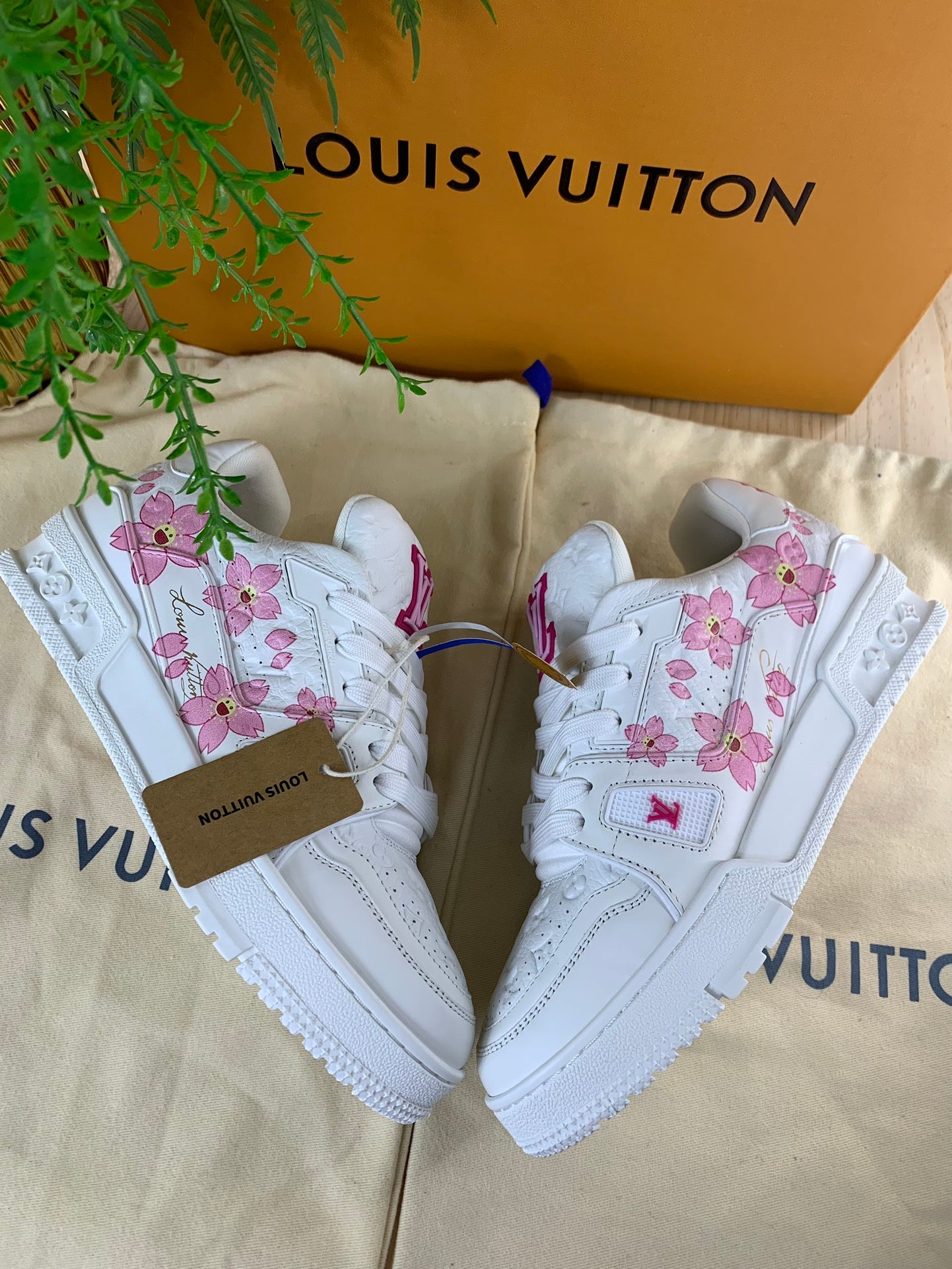 LV Trainer Series 60